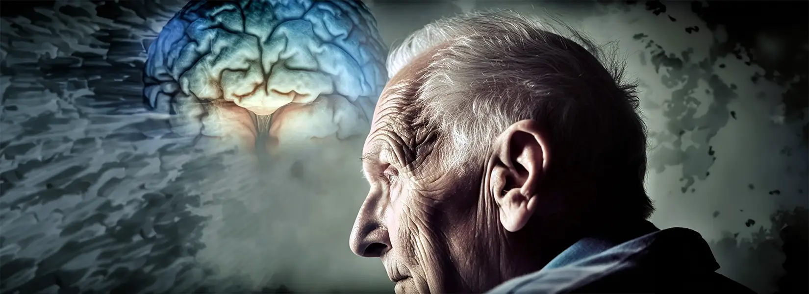 Alzheimer's dementia - Deep-TMS, tDCS, TPS, Neurofeedback - Schmidt-Staub